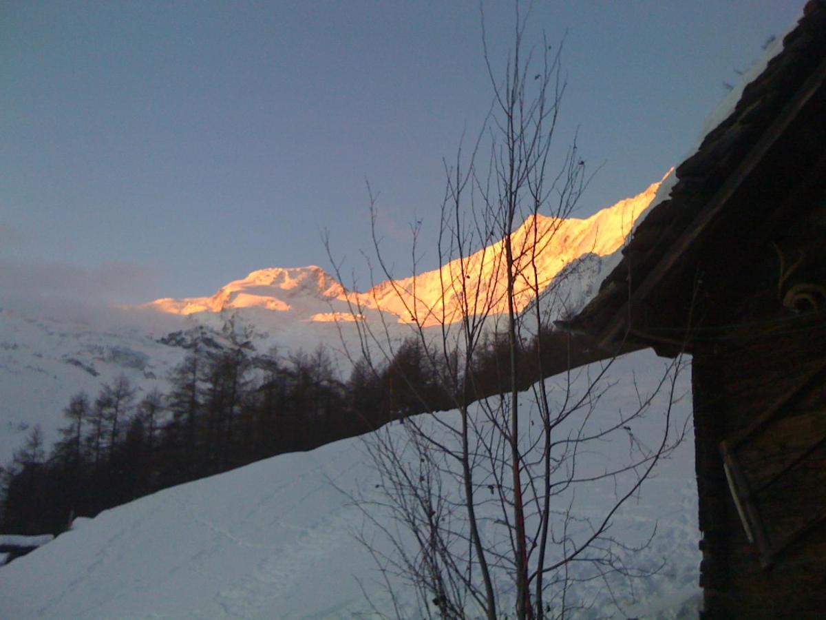 Chalet Birkhahn Saas-Fee Buitenkant foto