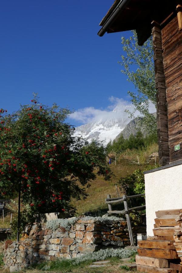 Chalet Birkhahn Saas-Fee Buitenkant foto