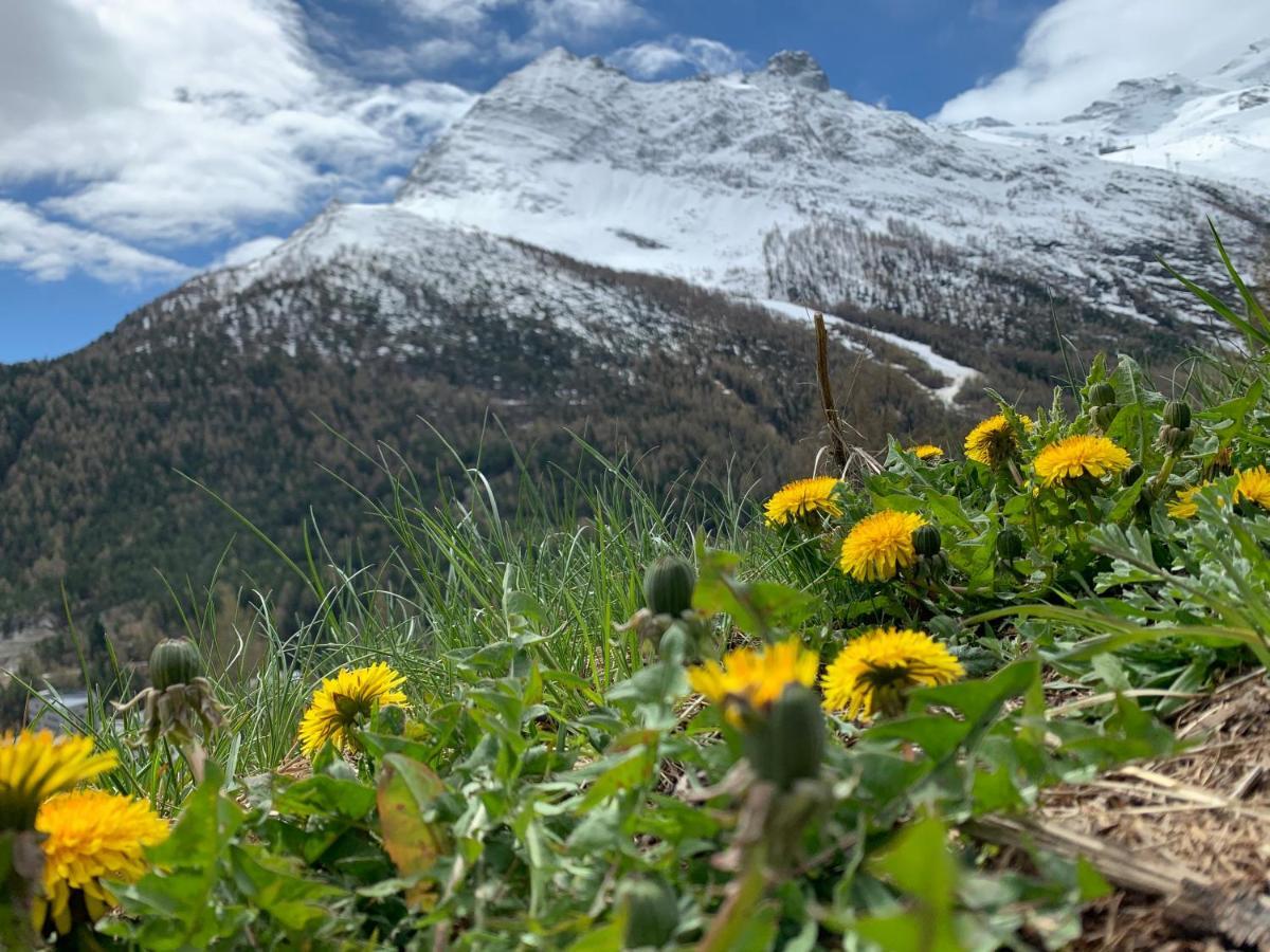 Chalet Birkhahn Saas-Fee Buitenkant foto