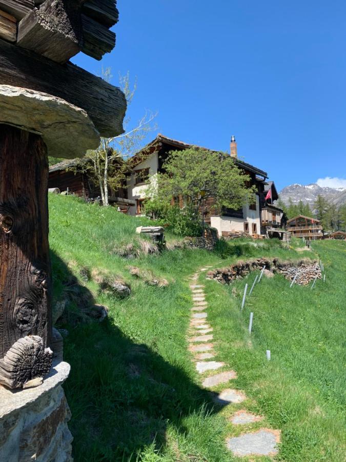 Chalet Birkhahn Saas-Fee Buitenkant foto