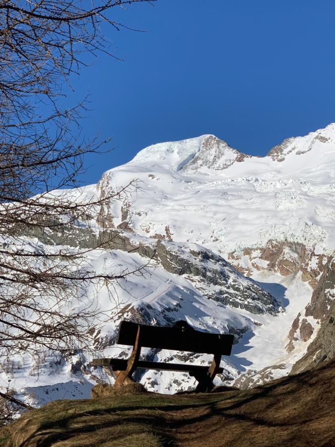 Chalet Birkhahn Saas-Fee Buitenkant foto