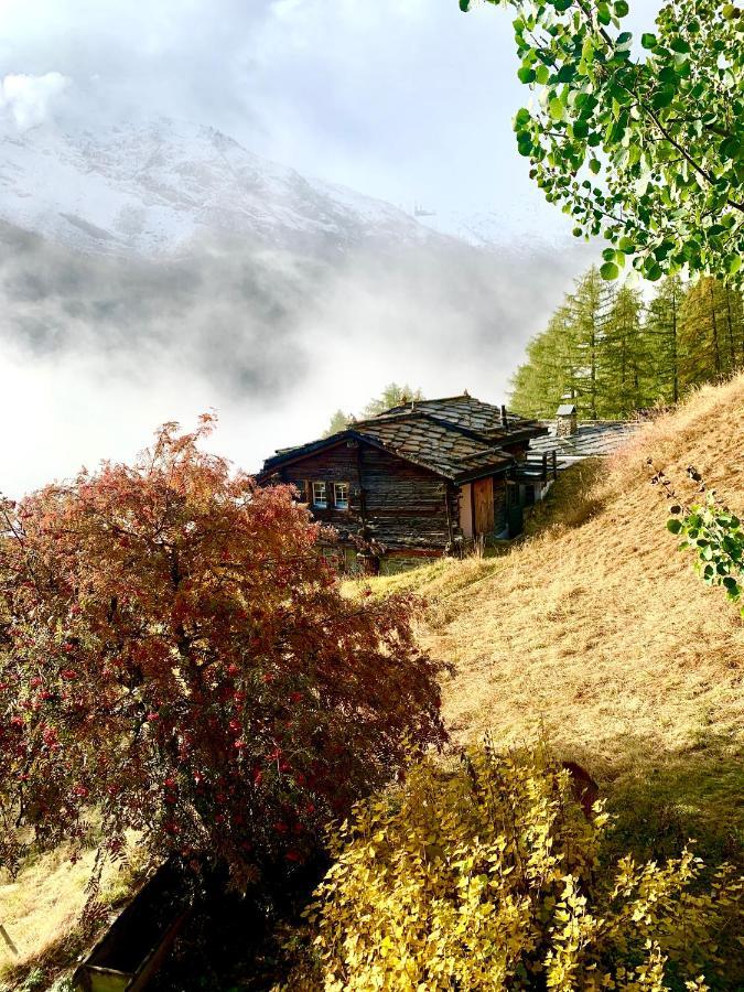 Chalet Birkhahn Saas-Fee Buitenkant foto