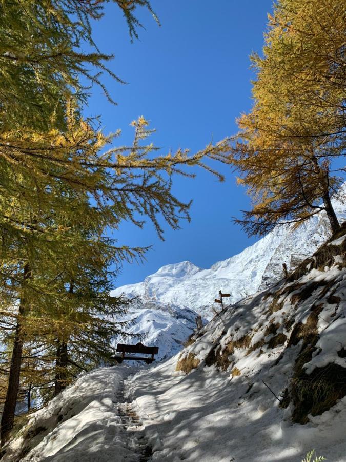Chalet Birkhahn Saas-Fee Buitenkant foto