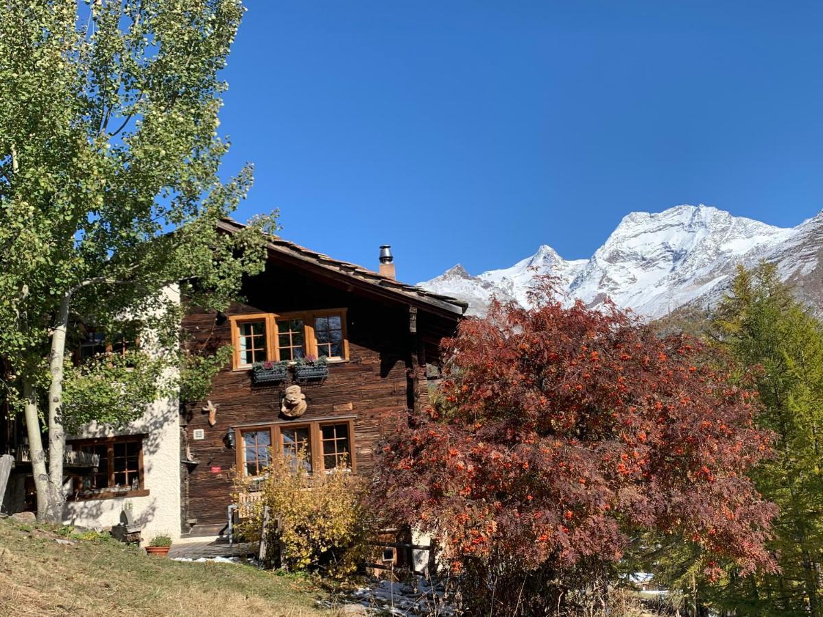 Chalet Birkhahn Saas-Fee Buitenkant foto
