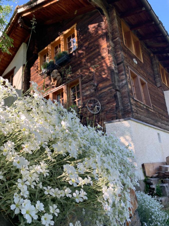 Chalet Birkhahn Saas-Fee Buitenkant foto